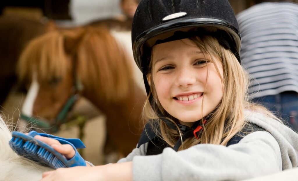 Paardencoaching