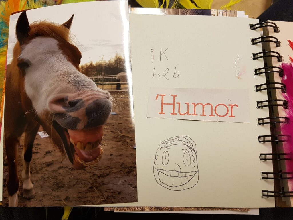 Paardencoaching