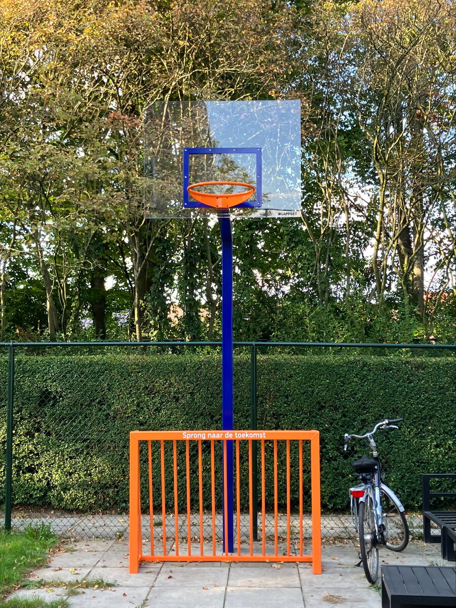Basketbalpaal
